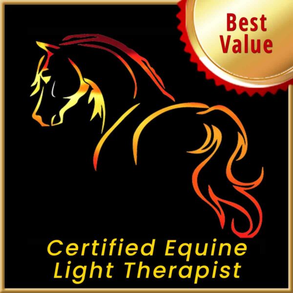 Certified Equine Light Therapist (CELT)