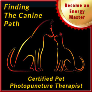 Finding the Canine Path