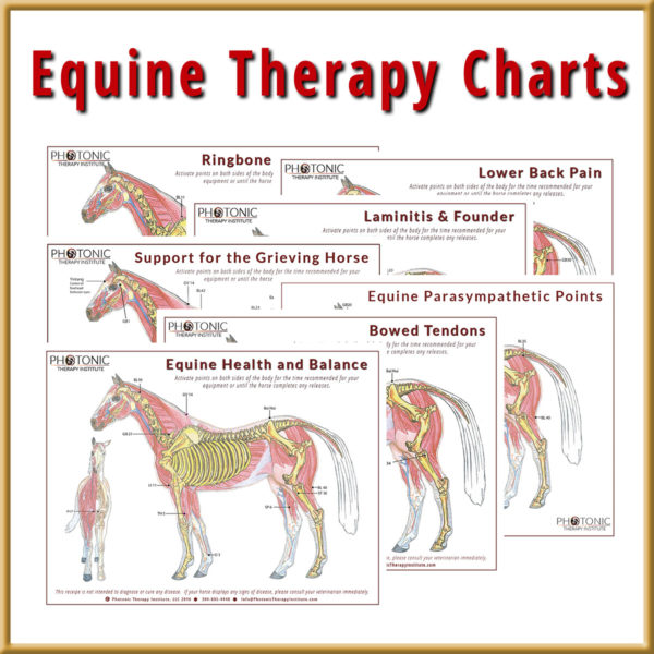 Individual Equine Therapy Chart