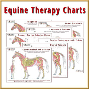 Equine Barn Charts