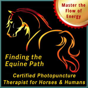 Finding The Equine Path - CEPT