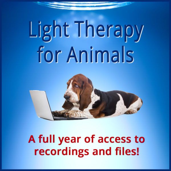 Light Therapy for Animals Summit