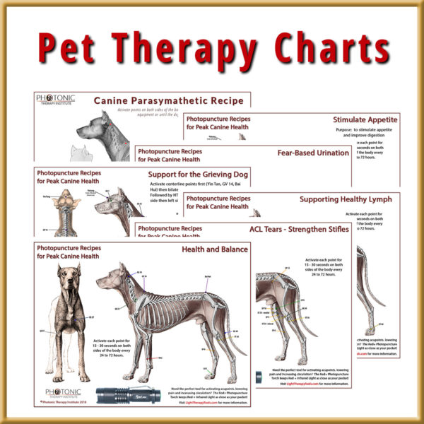 Individual Pet Therapy Chart