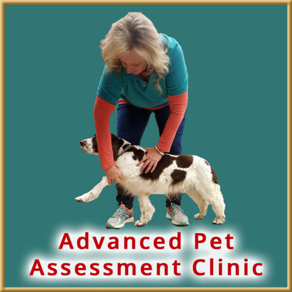 Advanced Pet Assessment Clinic