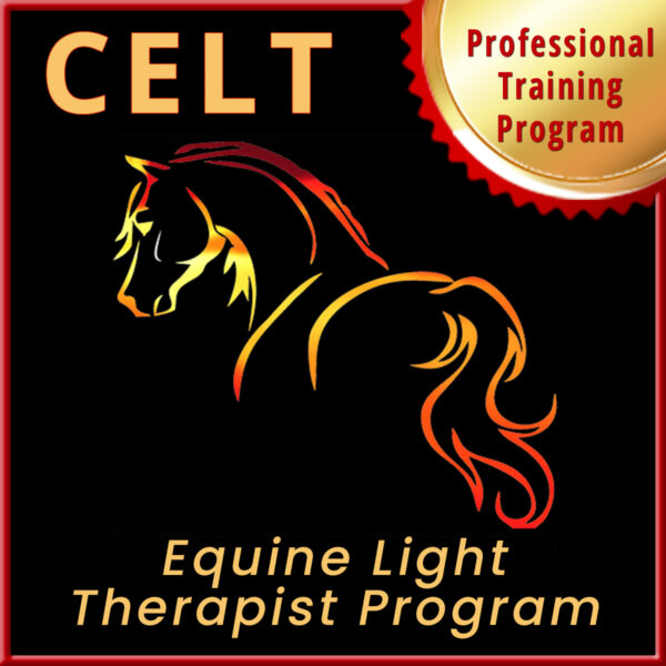 CELT Program