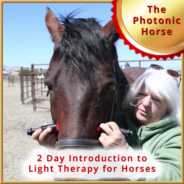 Intro to Equine Light Therapy - LIVE