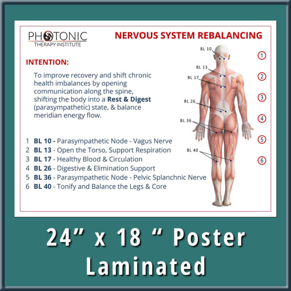 Poster - Human Nervous System Rebalancing