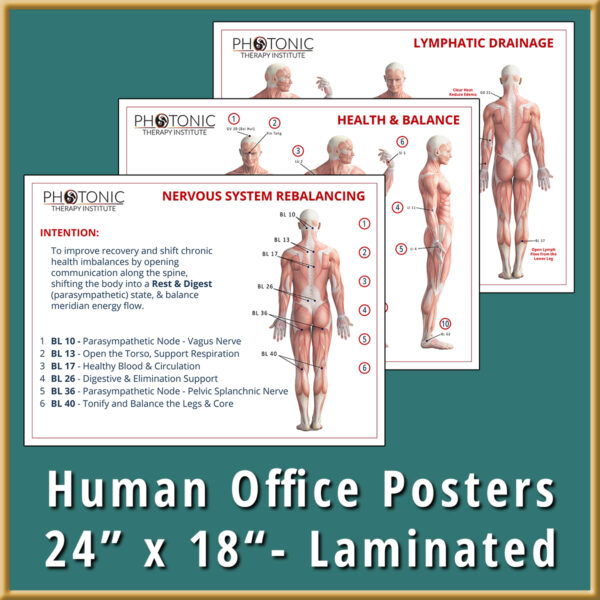 Human Poster Set 3