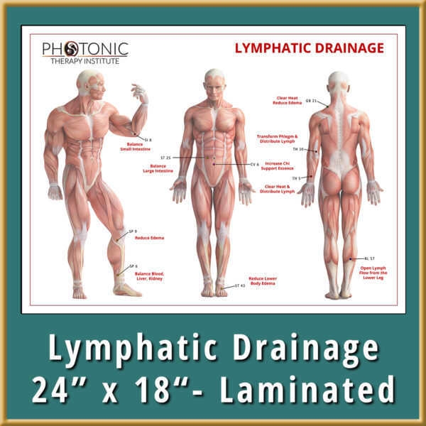 Poster - Lymphatic Drainage