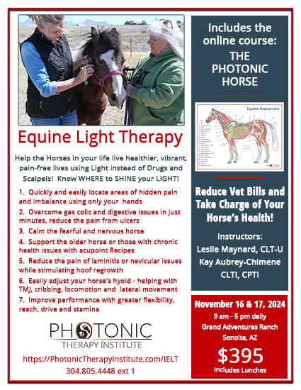 Live Intro To Equine Light Therapy 