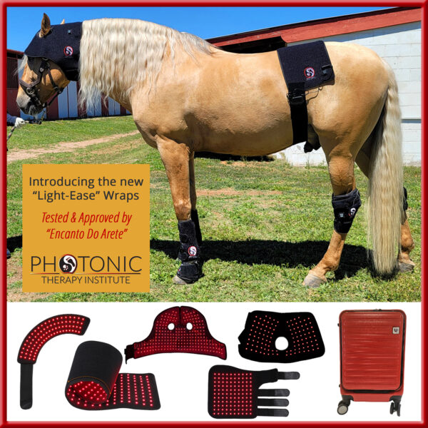 Platinum Light-Ease Equine Wrap Set