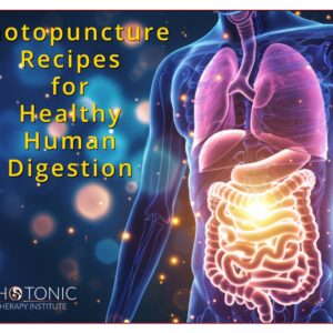 Photopuncture Recipes For Healthy Human Digestion Featured