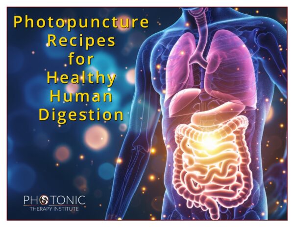 Photopuncture Recipes For Healthy Human Digestion Featured