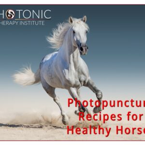 Healthy Horses Featured