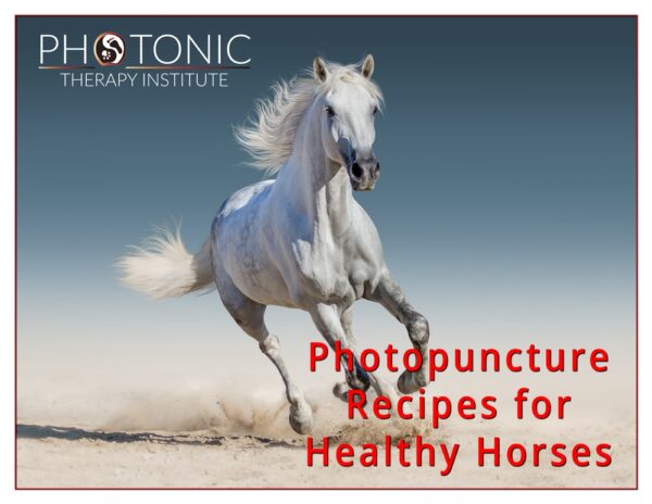 Healthy Horses Featured