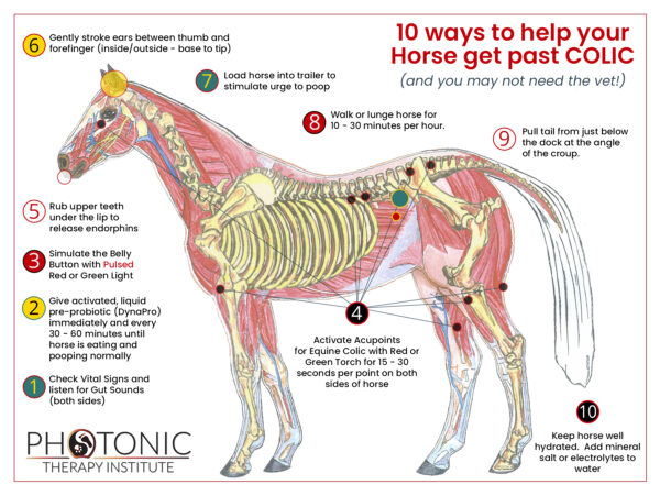 10 Ways to help your Horse get past Colic - PDF