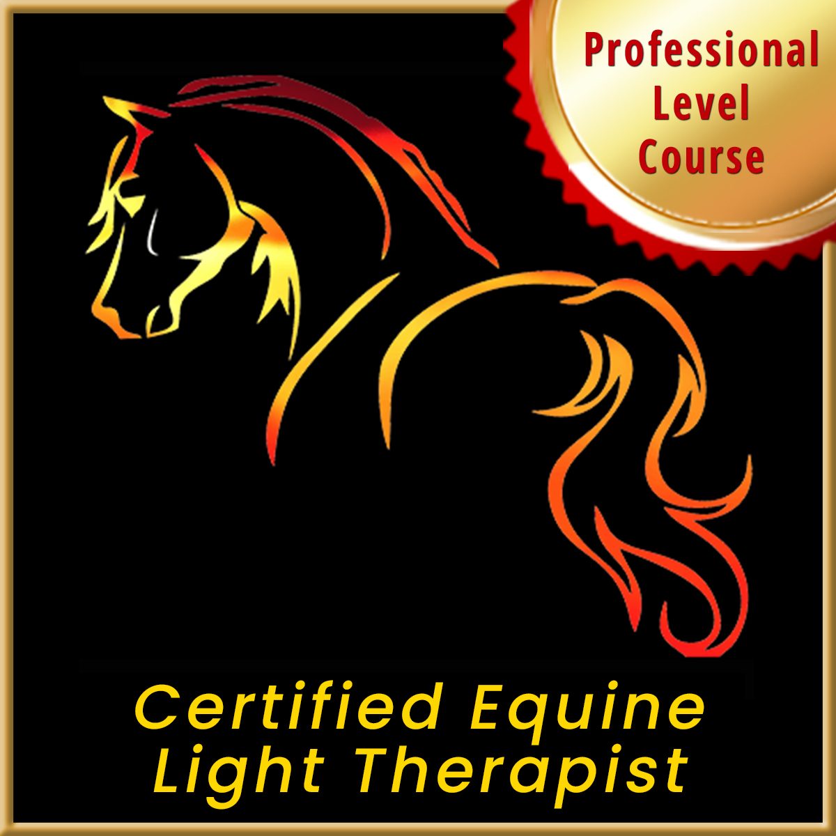 Certified Equine Light Therapist (CELT)