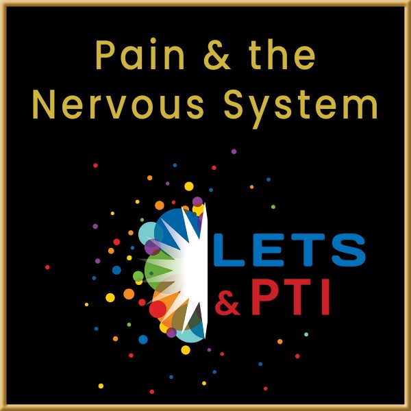 Pain & The Nervous System